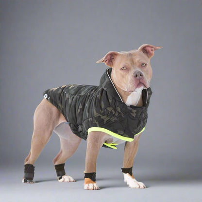 Leashes, Collars & Petwear Eco-Friendly Recycled PET Dog Parka with Camouflage Design and Reflective Accents eco friendly - sustainable products bougie green