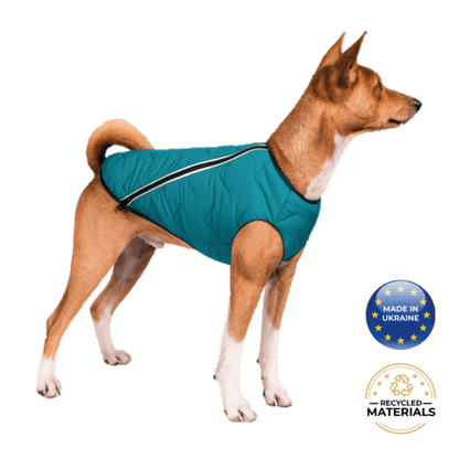 Pets Sustainable Eco-Friendly Dog Jacket / Vest - Made in Ukraine eco friendly - sustainable products bougie green